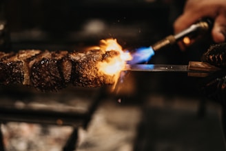 person holding stick with fire