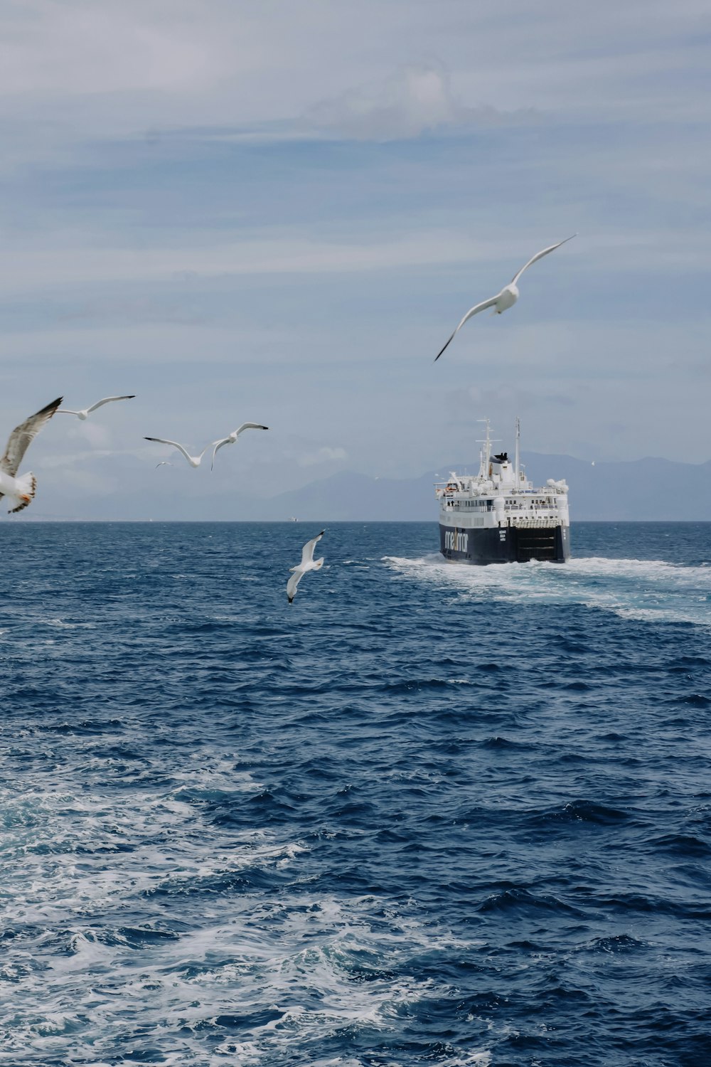 nave bianca e nera sul mare durante il giorno