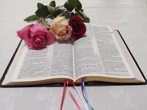 Floral Dreams Book