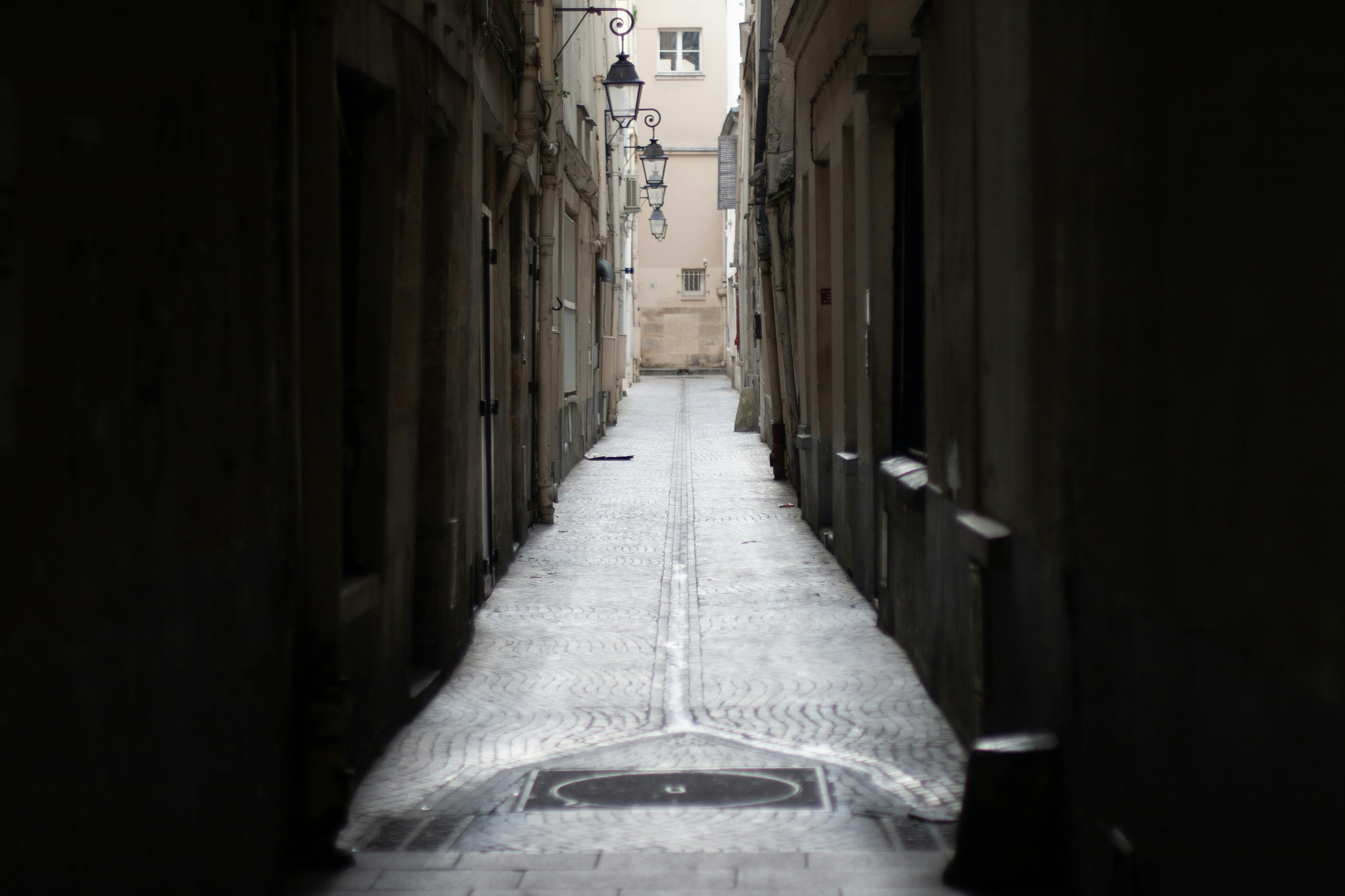 ✦Thanks for considering my images for your project. Please consider supporting my work with a donation and/or a mention 🙏✦
