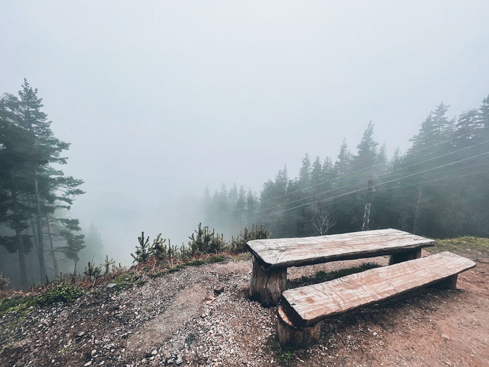 brown wooden bench on brown dirt ground near body of water during daytime