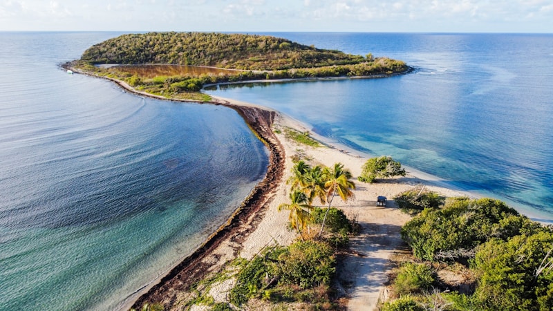 Vieques Comunidad