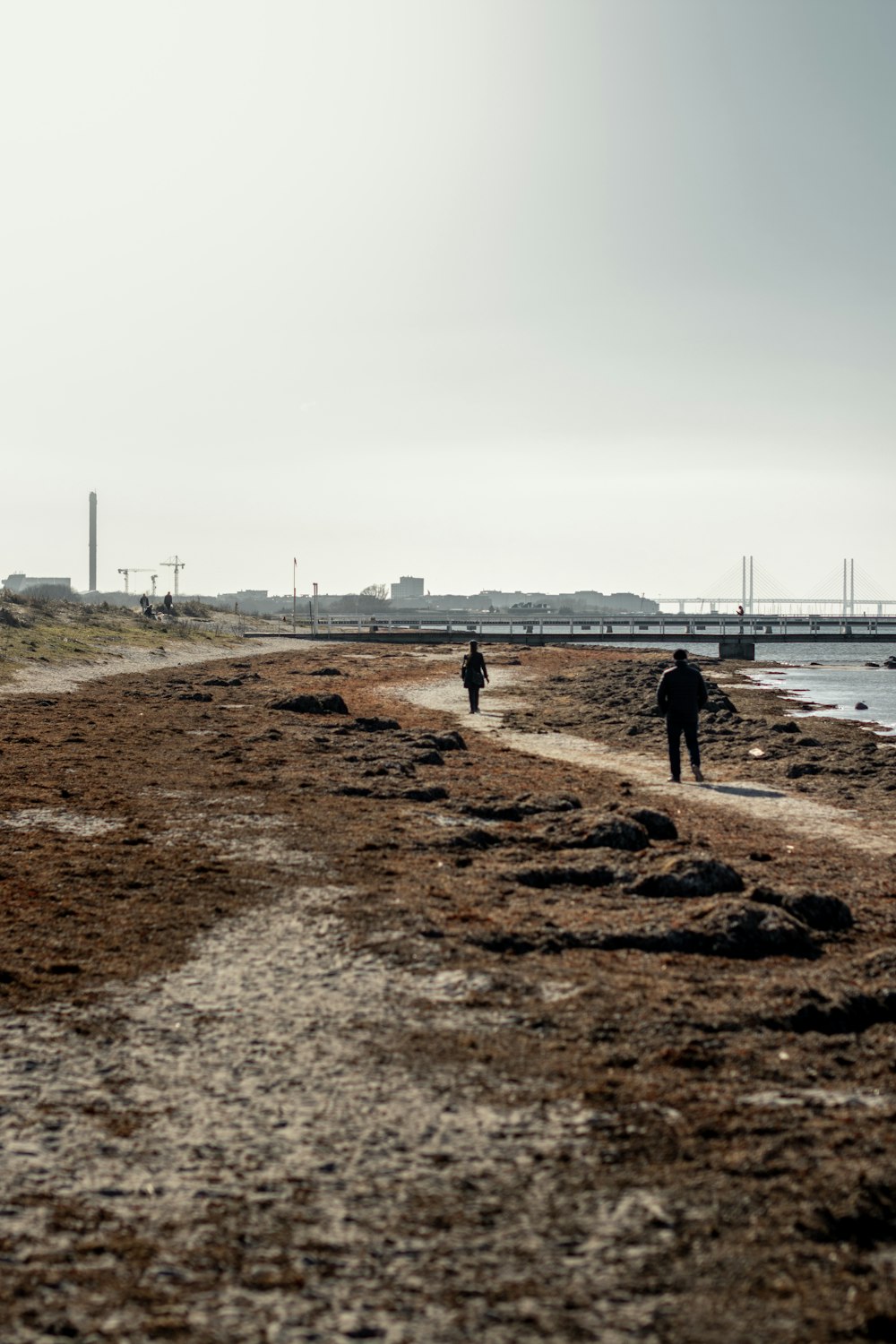 昼間、水辺の茶色い砂の上を歩く人々