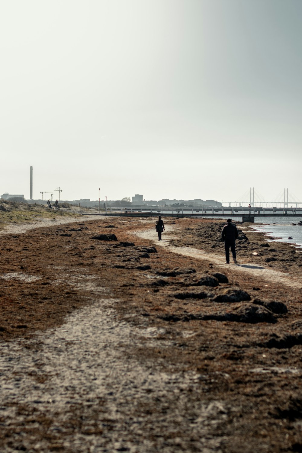 Menschen, die tagsüber auf braunem Sand in der Nähe von Gewässern spazieren gehen