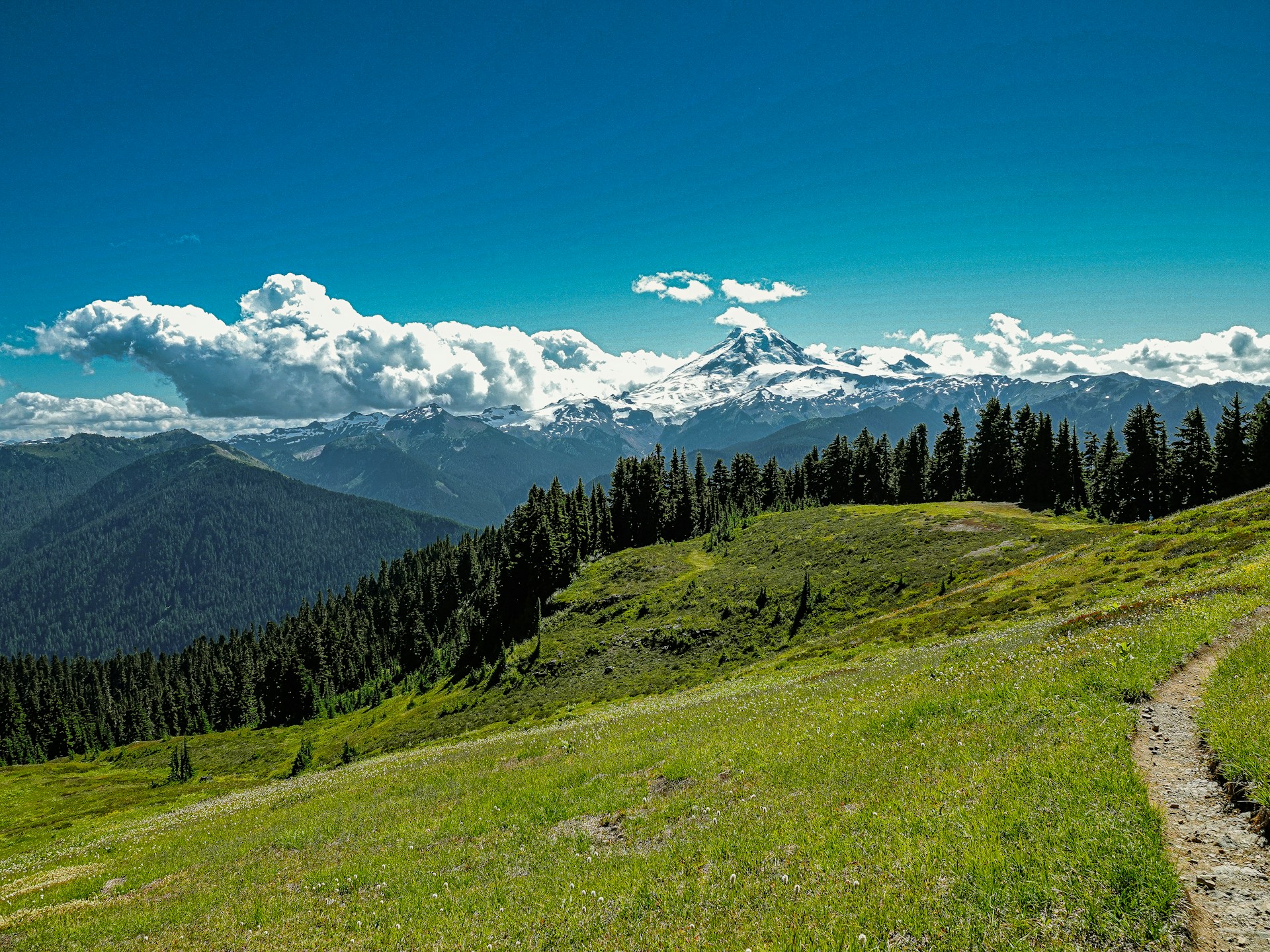 green grass field near green trees and snow covered mountains under blue sky during daytime