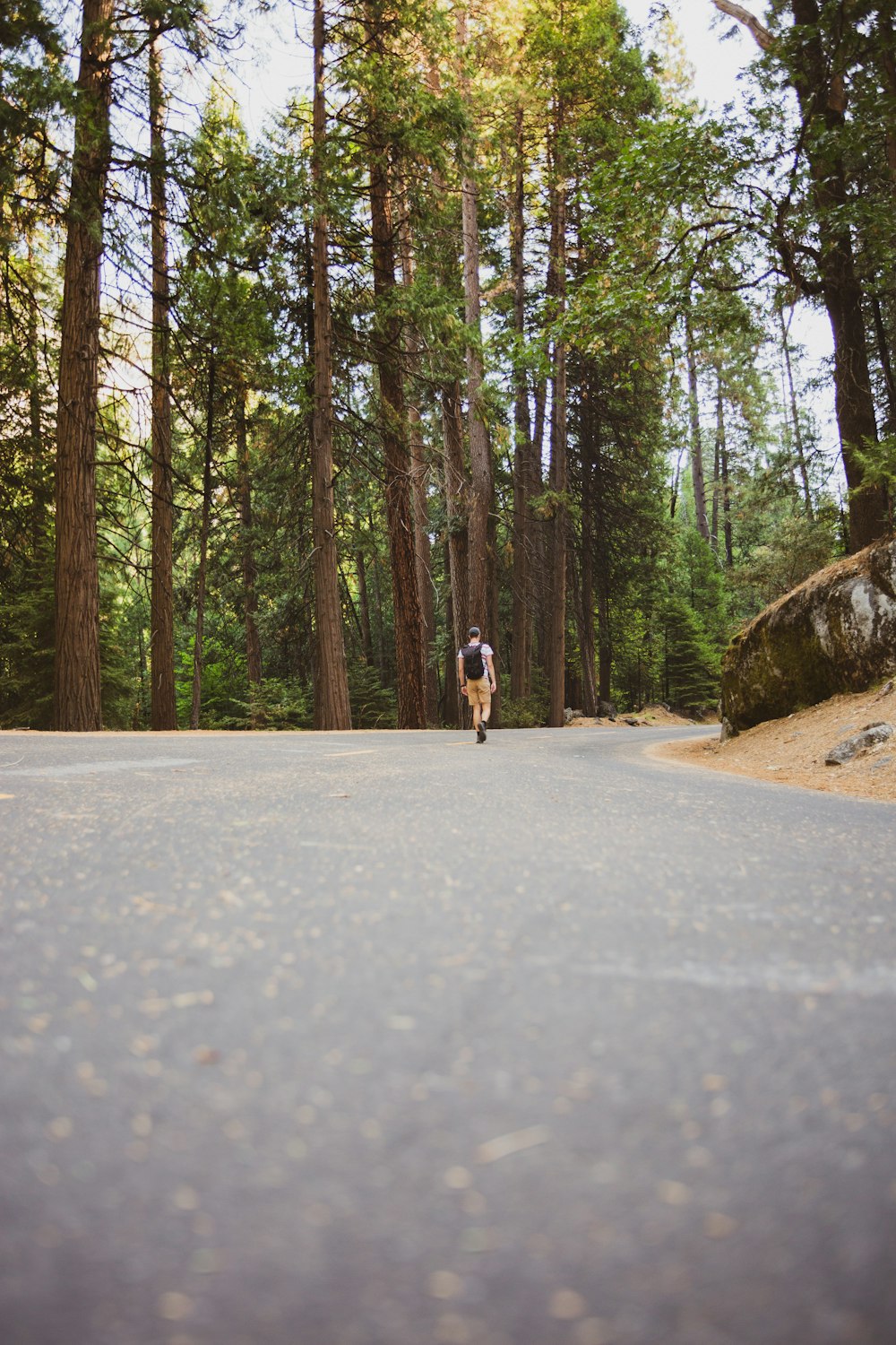 woman in white shirt and black pants walking on road between trees during daytime