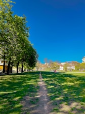 A well-maintained park pathway lined with blooming flowers and green trees under a clear sky.