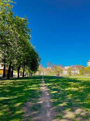A well-maintained park pathway lined with blooming flowers and green trees under a clear sky.