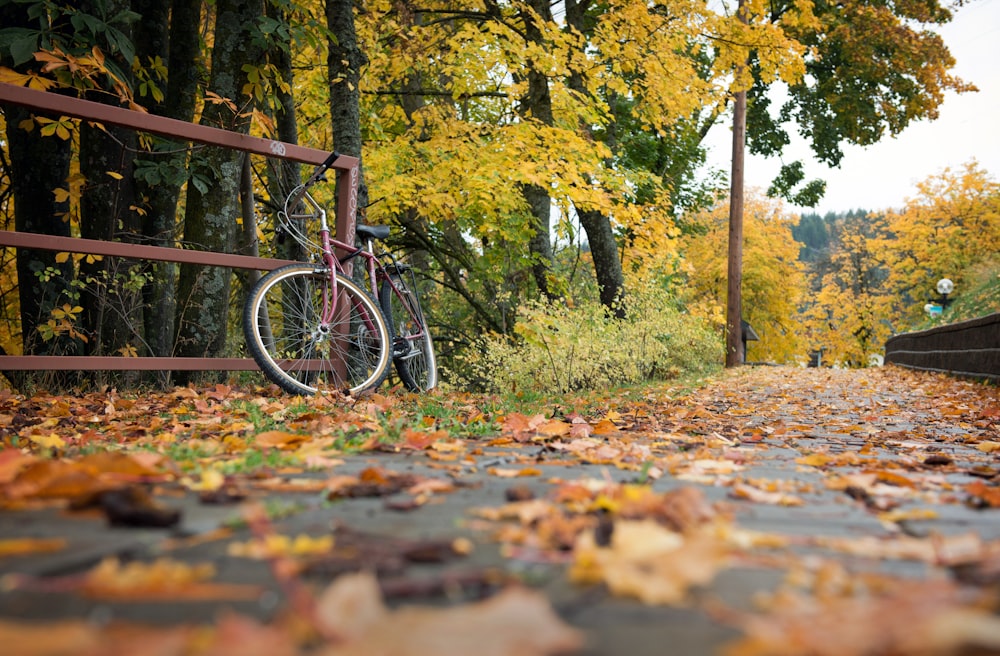 bicicletta nera su foglie secche marroni su terra