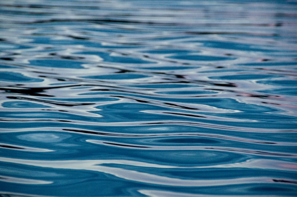 blue water water during daytime