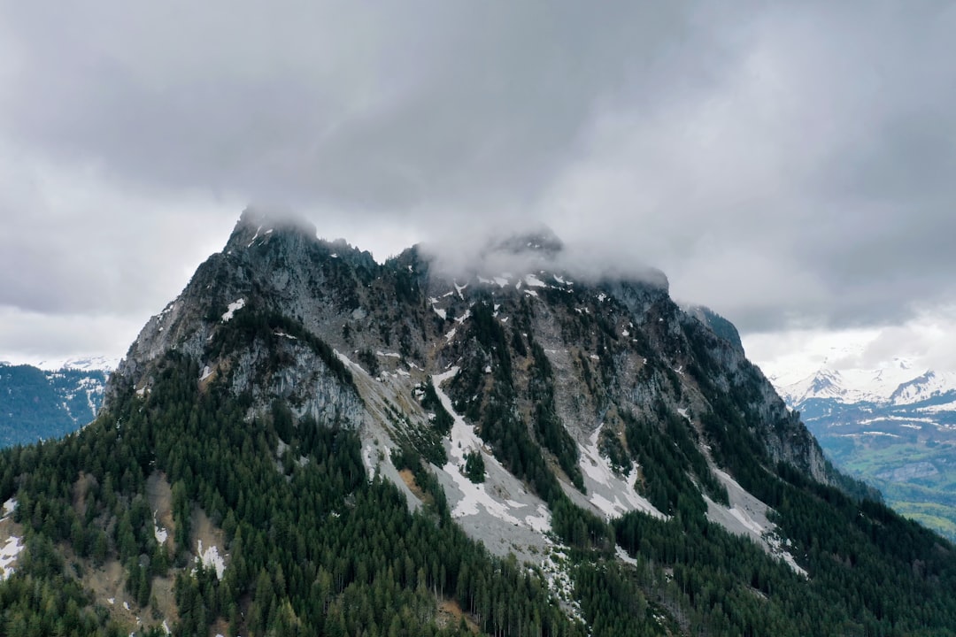 green trees on mountain under cloudy sky during daytime