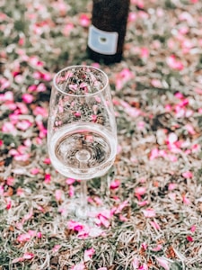 Chardonnay