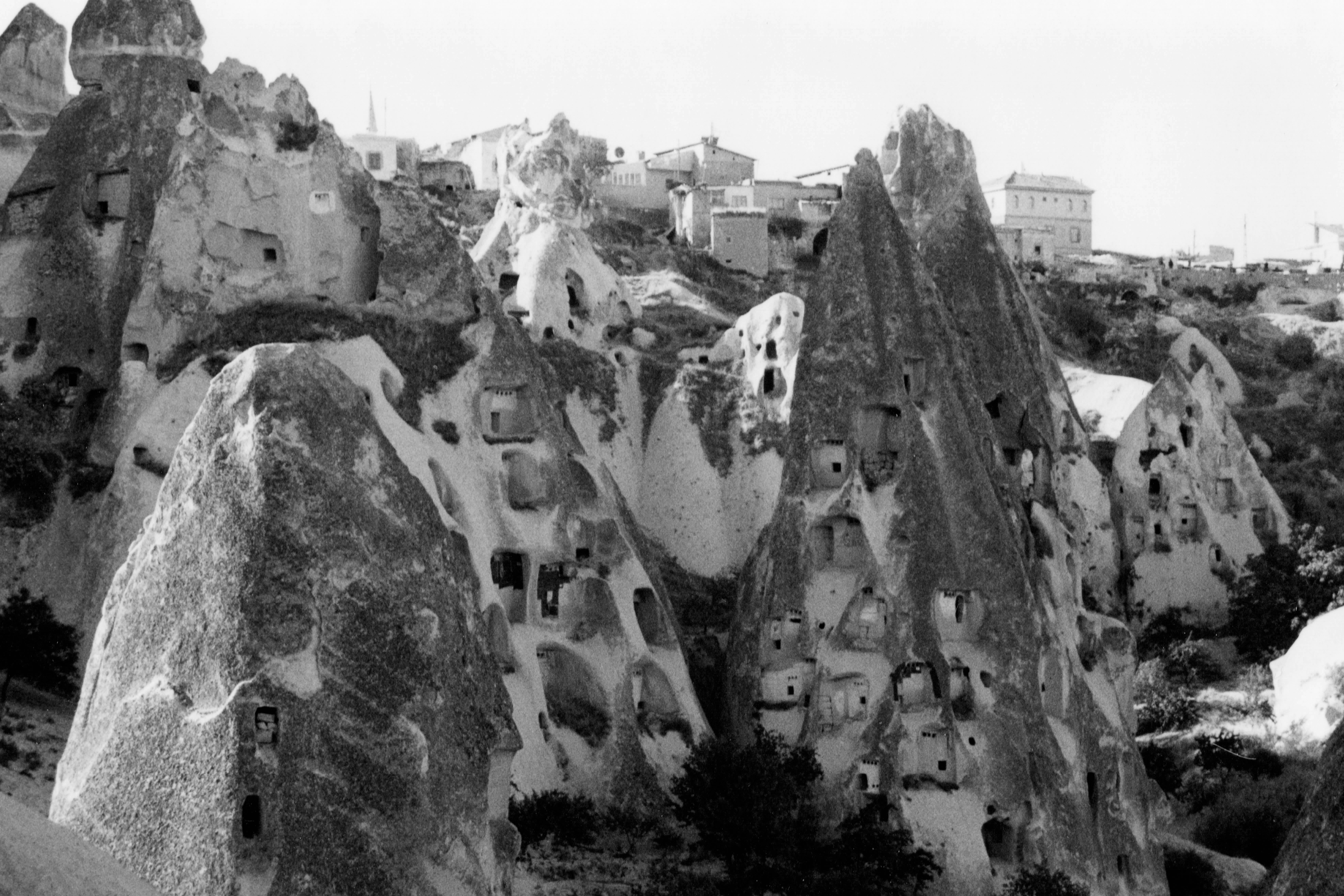 Photo by peterburdon