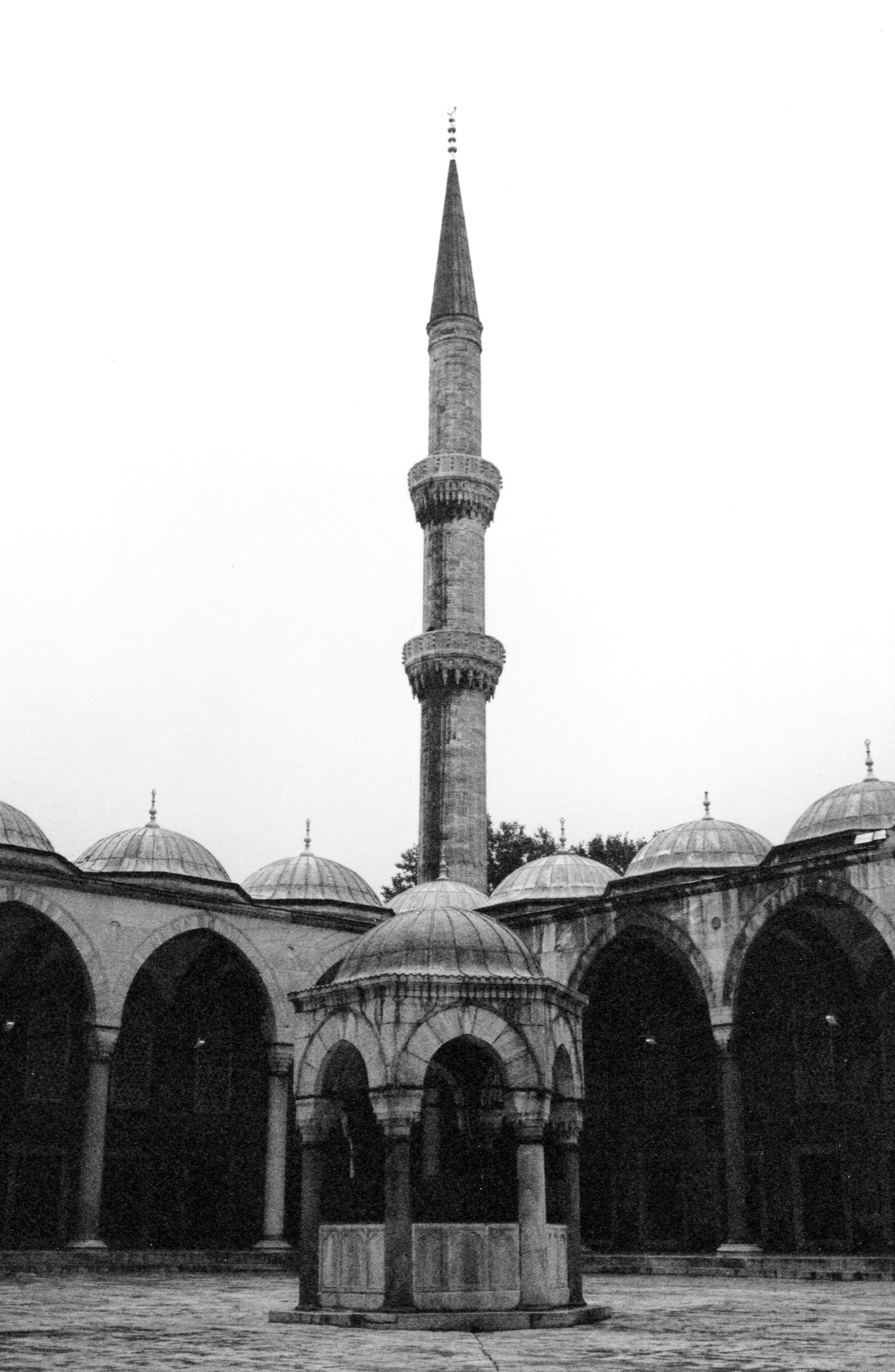 Photo by peterburdon