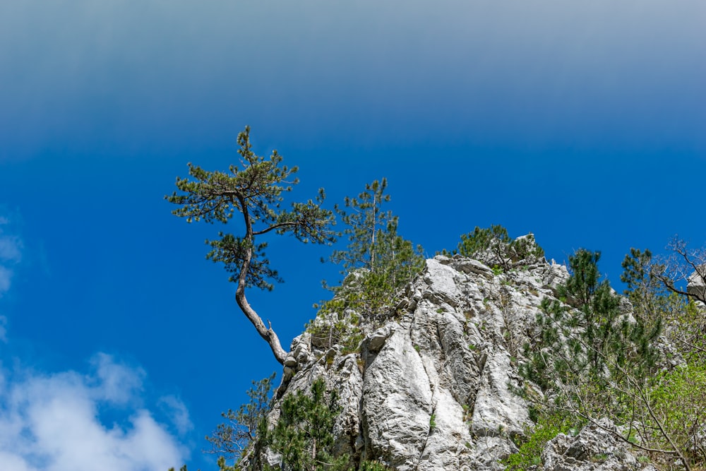 gray rocky mountain under blue sky during daytime