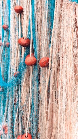 A close-up view of a tangled mass of fishing nets featuring vibrant blue and white threads interwoven with thick ropes. The nets are adorned with prominent red-brown floats spaced along the ropes, creating a textured and intricate pattern.
