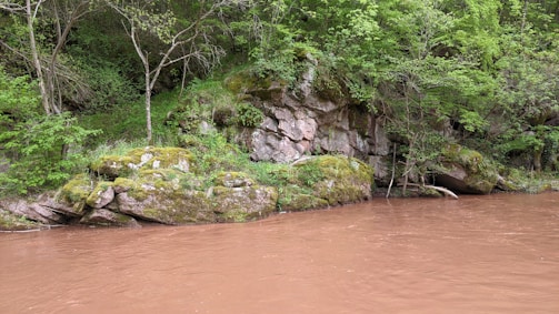 A natural scene featuring a flowing, muddy river with rocky, moss-covered banks. Dense green foliage and trees surround the area, creating a lush, verdant environment. The rocks show signs of erosion, and some have cracks and crevices.