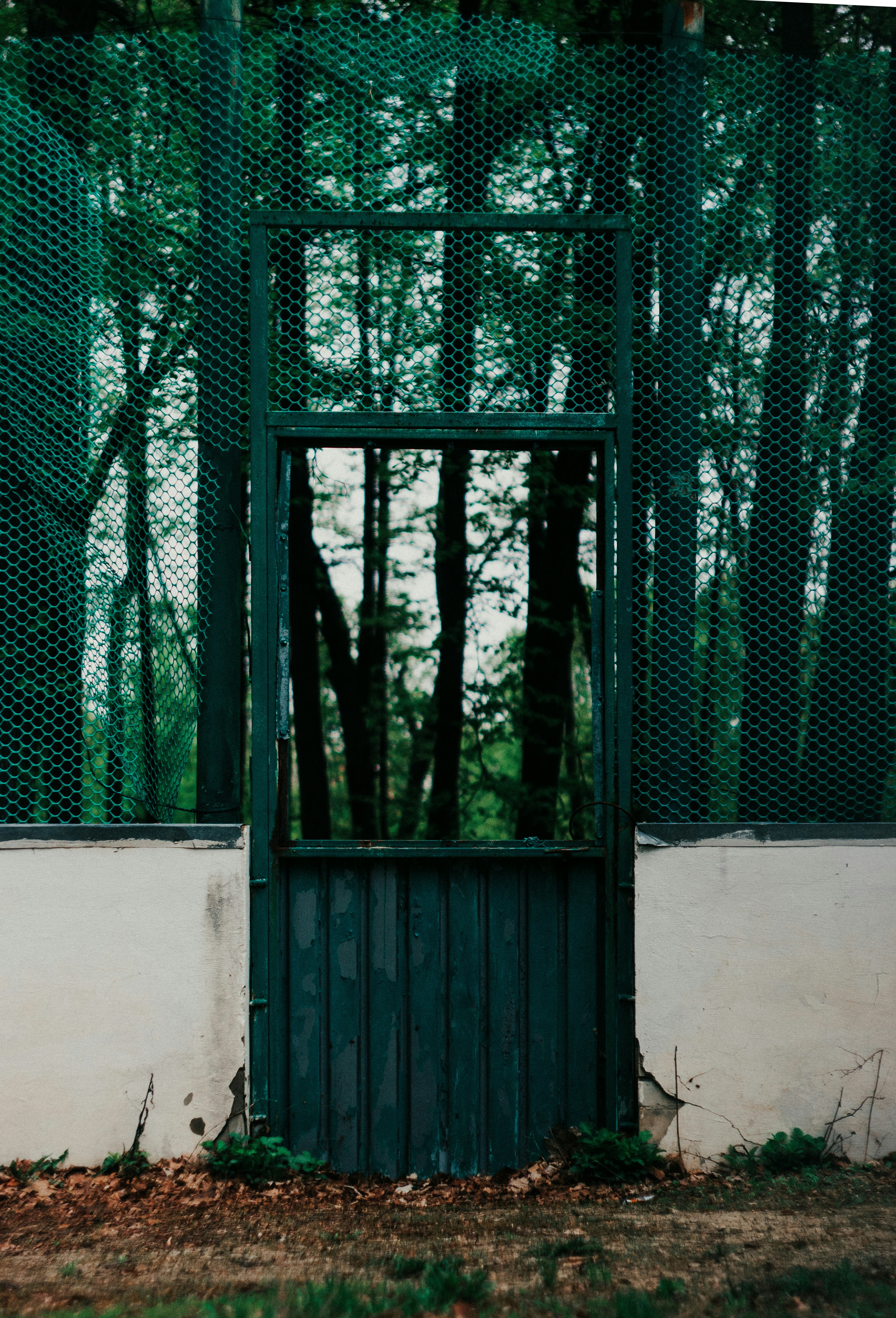 Photo by mind_n_soul_journey