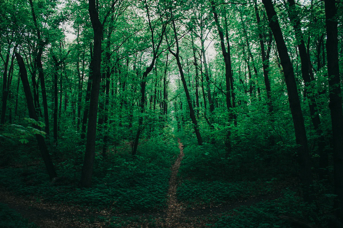 photo by Pavel Karagodin (@mind_n_soul_journey) on unsplash