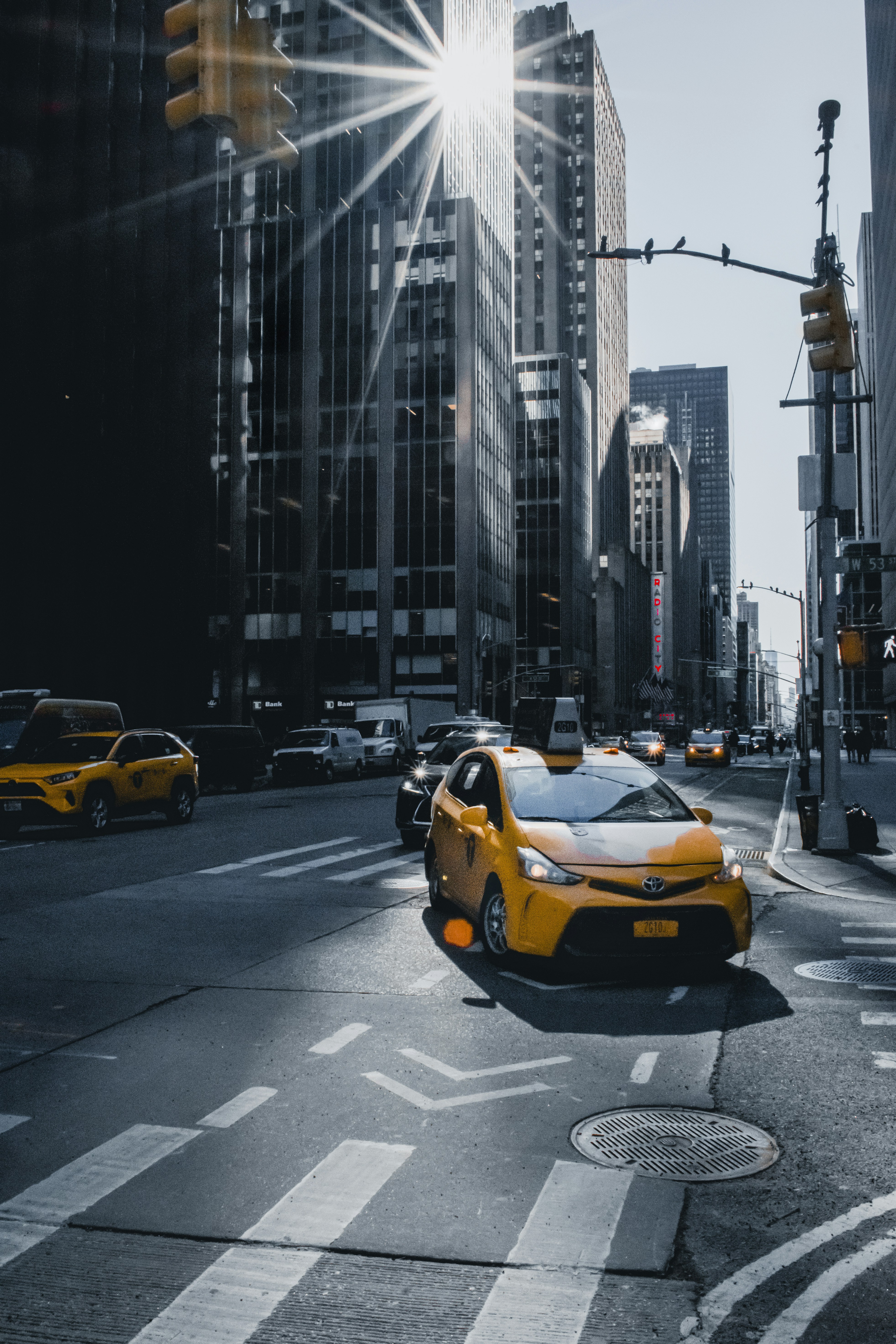 Photo by esteban__chinchilla