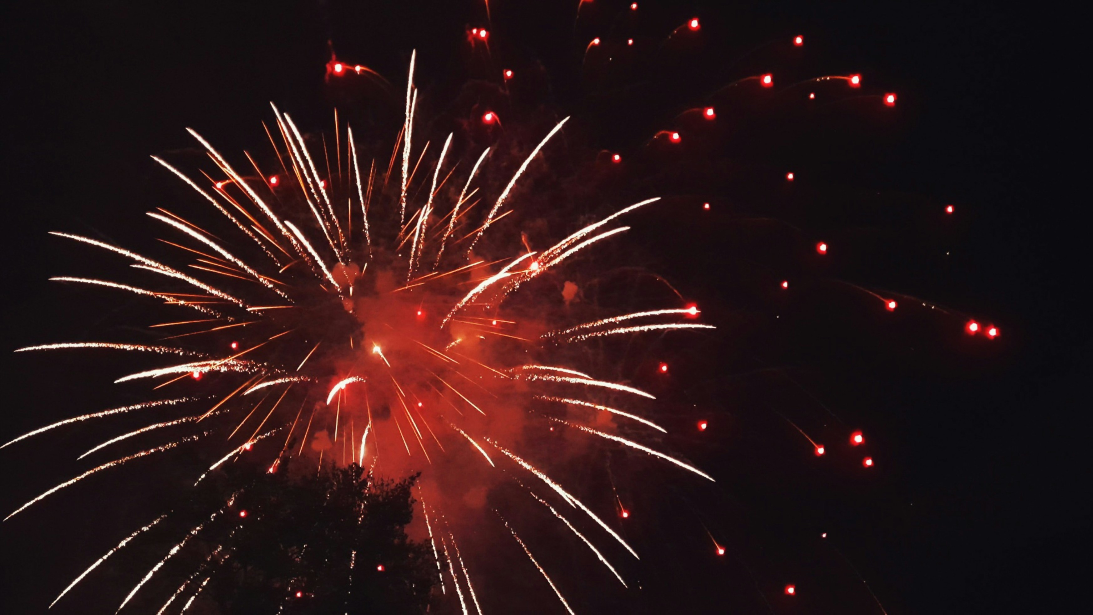 Photo by megan_goodoff