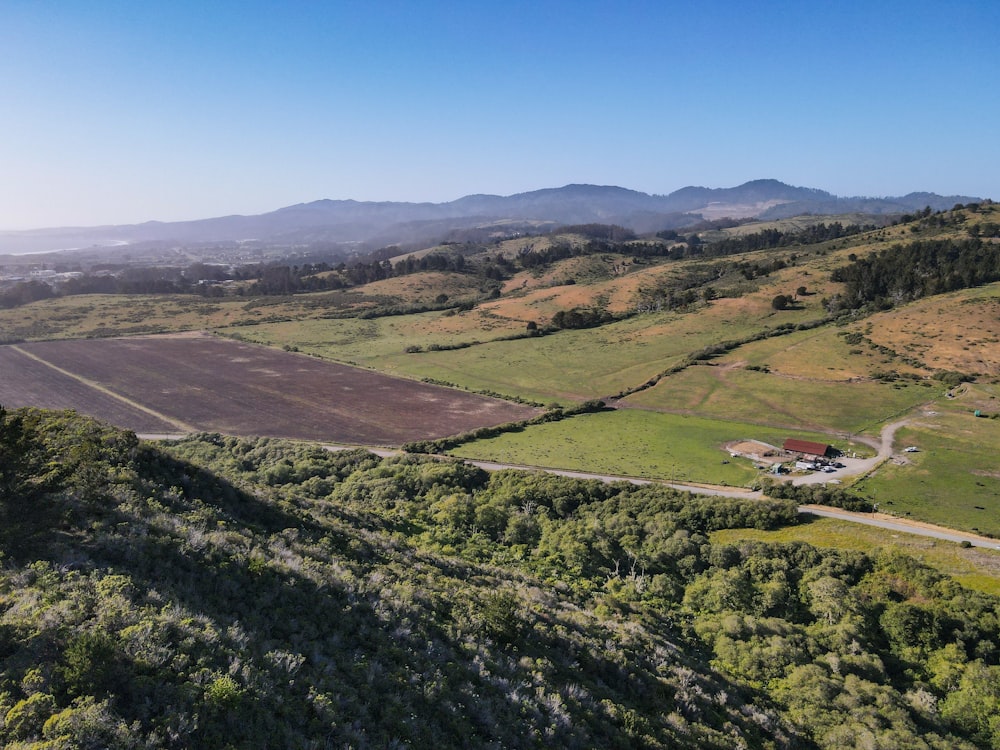 campo de grama verde sob o céu azul durante o dia