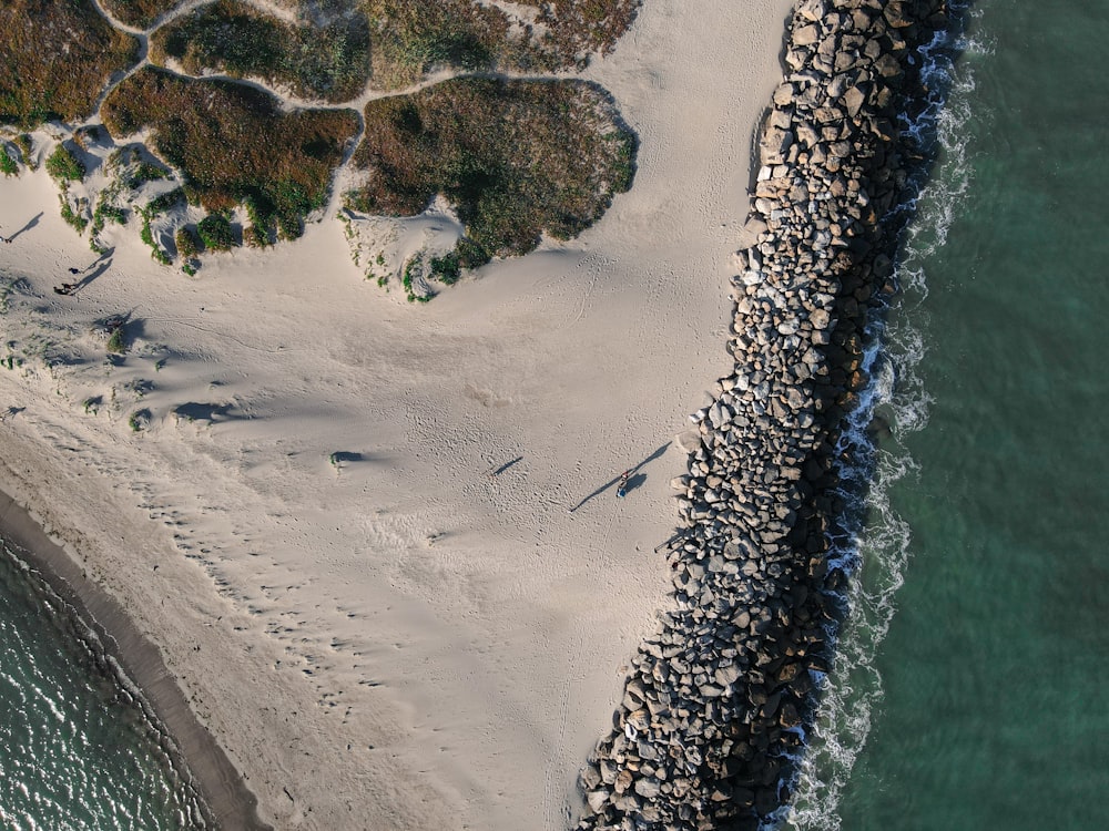 aerial view of beach during daytime