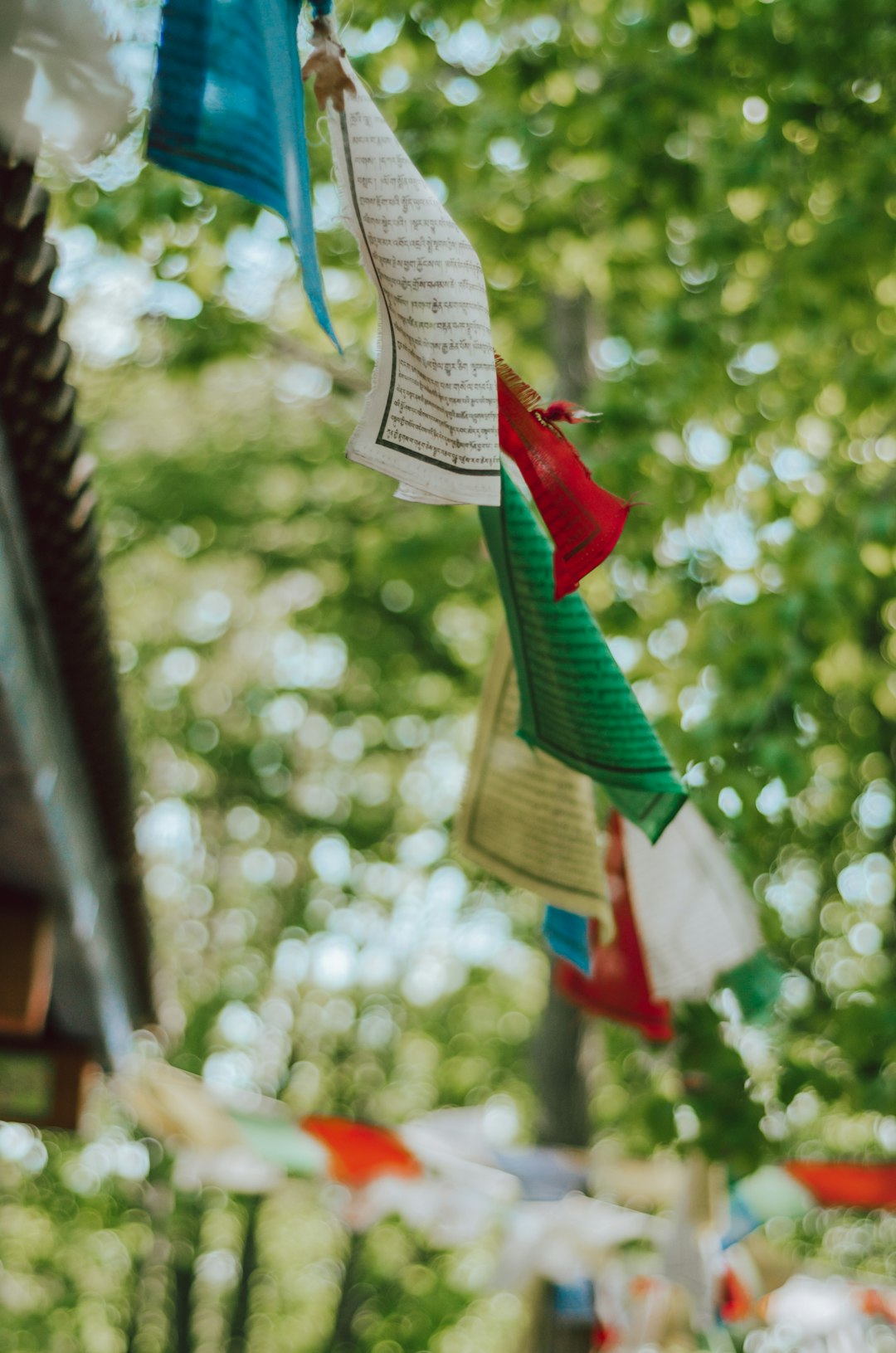 white and red textile hanged on brown wooden fence during daytime