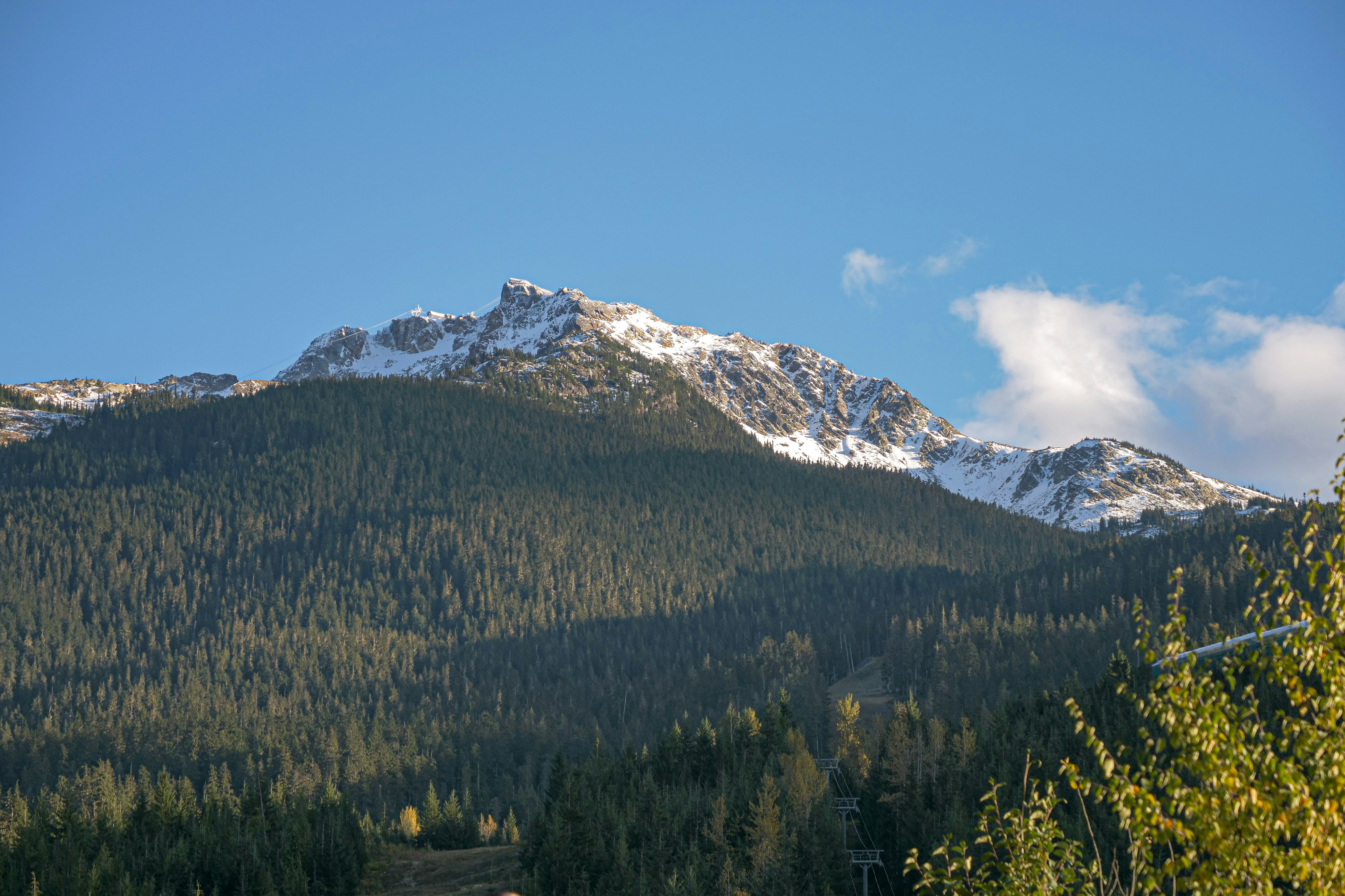 Photo by brendanobrien1