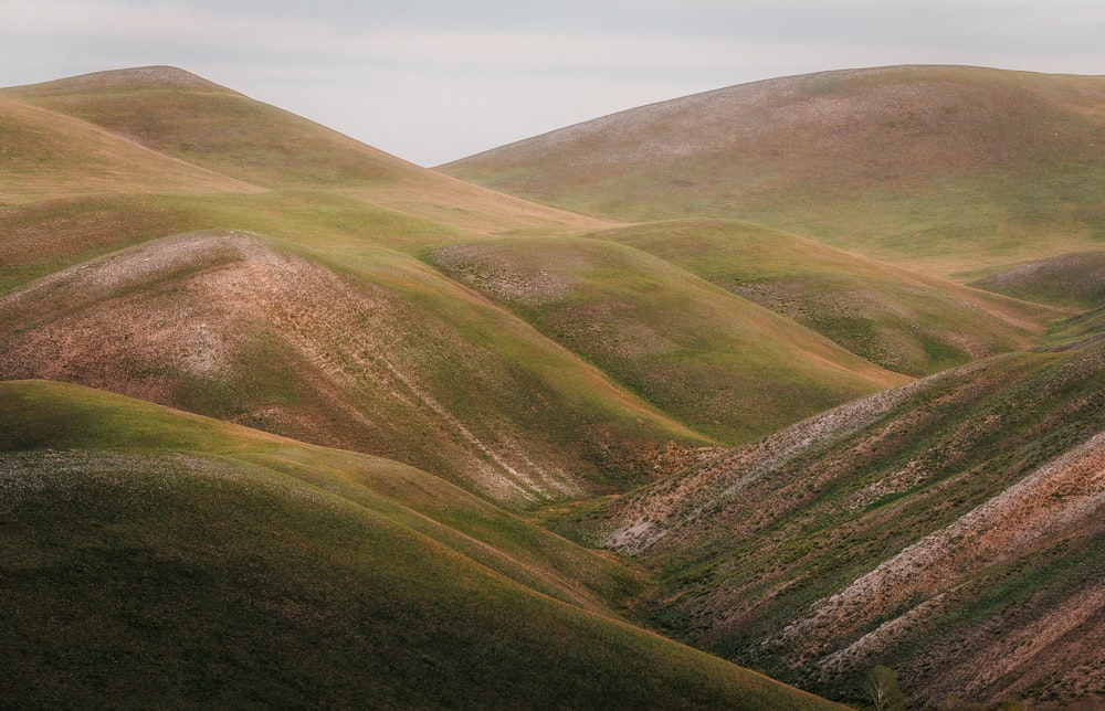 green and brown mountains under white sky during daytime