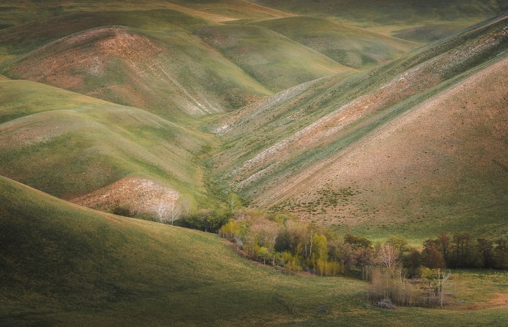 green grass field and mountain