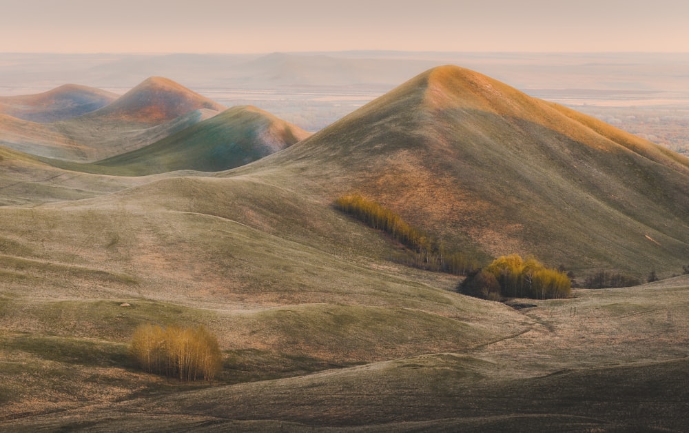 brown and green grass field near brown mountain under white sky during daytime