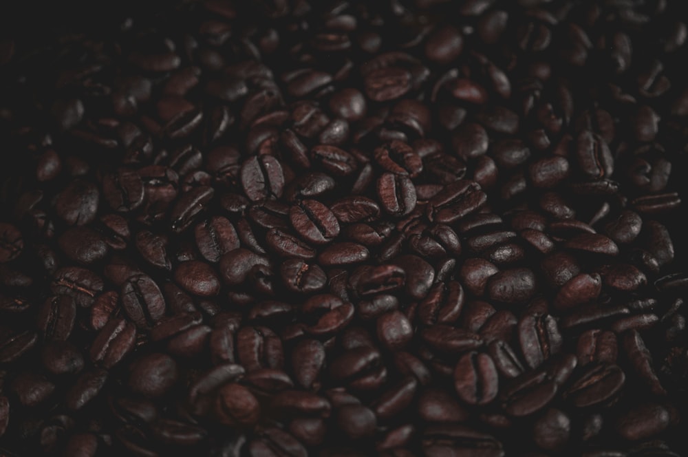 coffee beans in close up photography