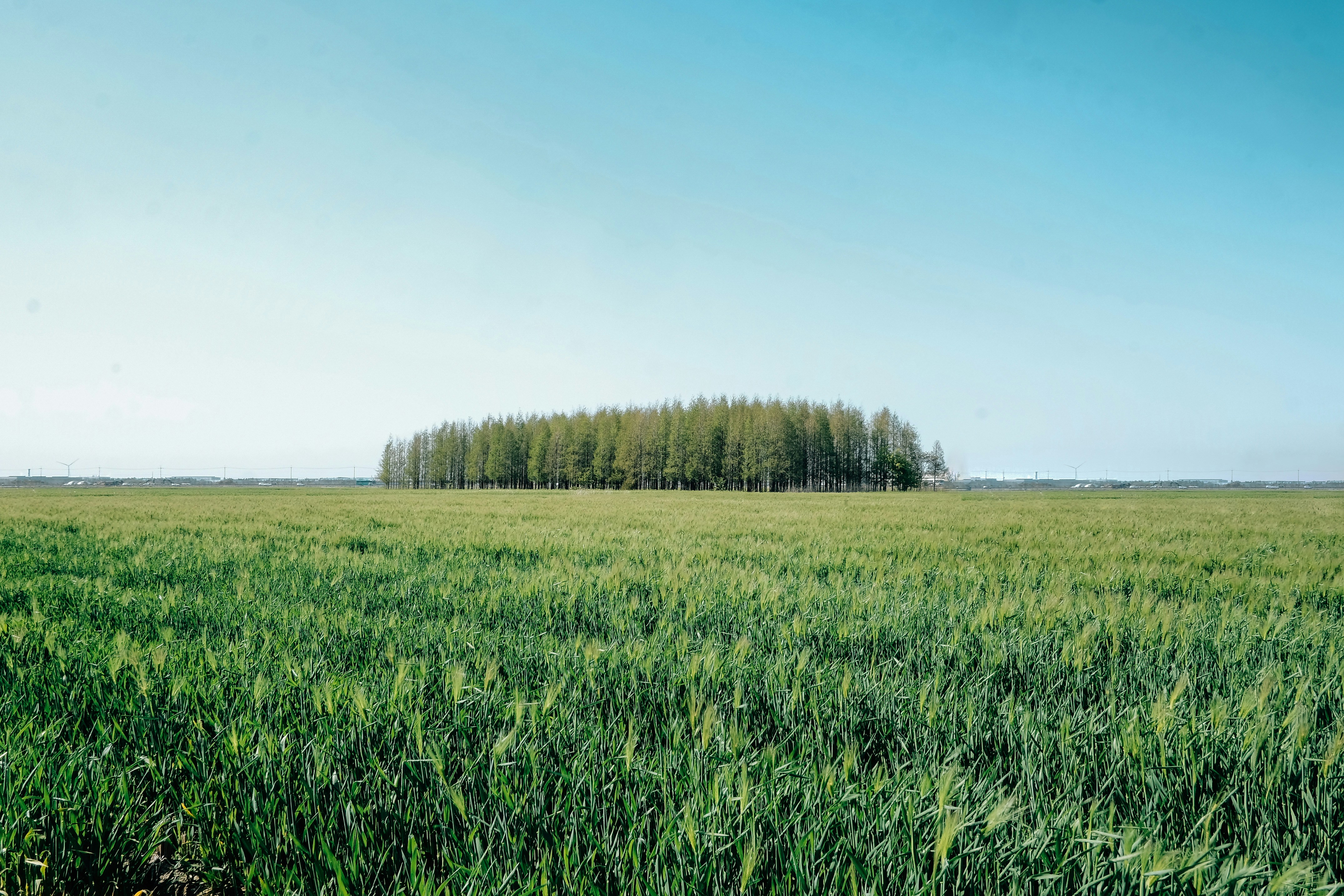 Photo by insungpandora