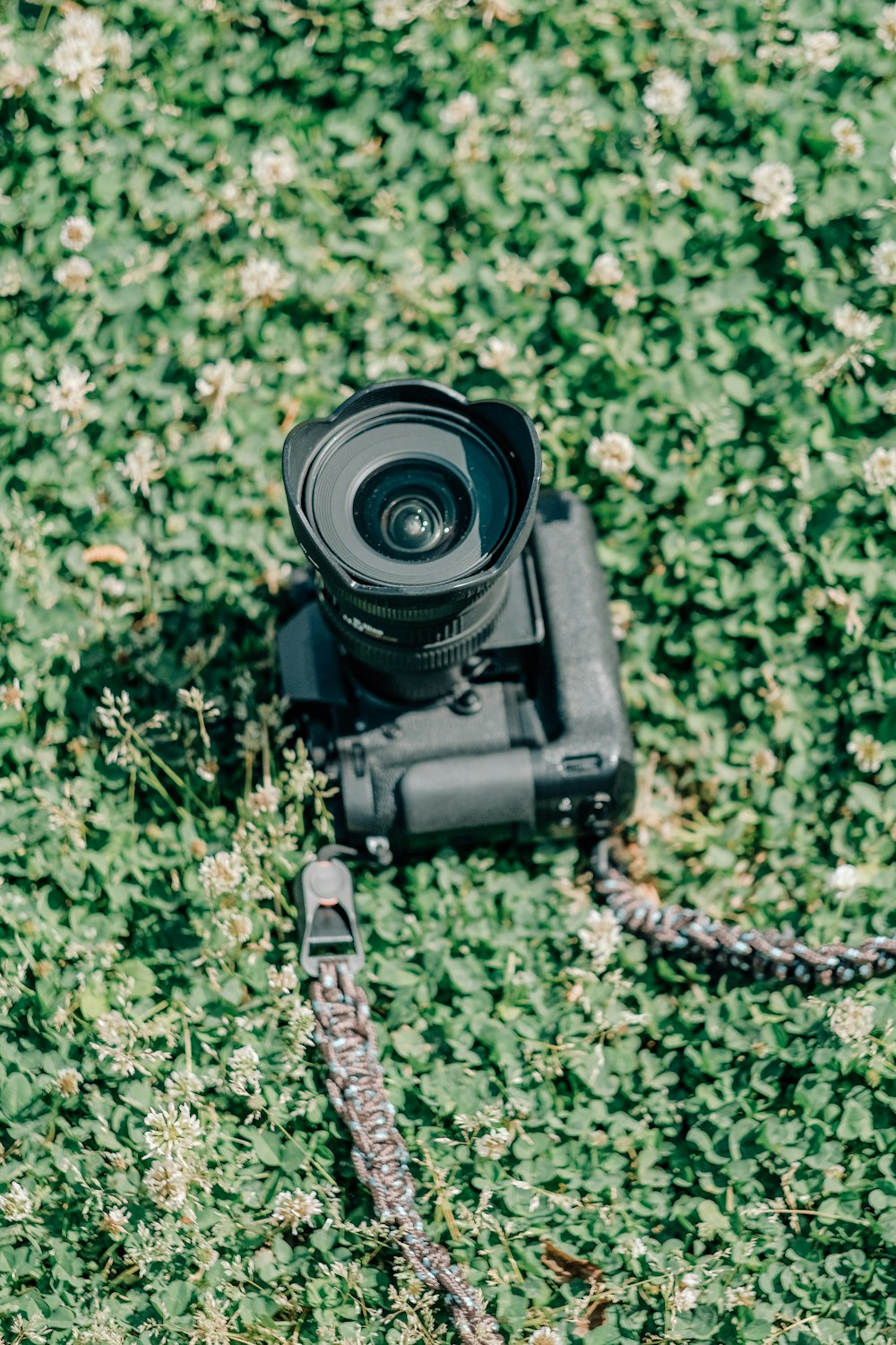 緑の芝生に黒いデジタル一眼レフカメラ