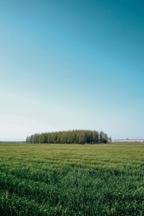 Plot of land on the outskirts of Sofia with clear sky and open space