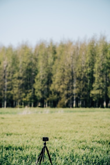 A camera mounted on a tripod stands in the middle of a green meadow with a dense forest in the background. The trees display lush foliage, creating a serene natural setting under a clear blue sky.