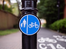 blue and black bicycle lane
