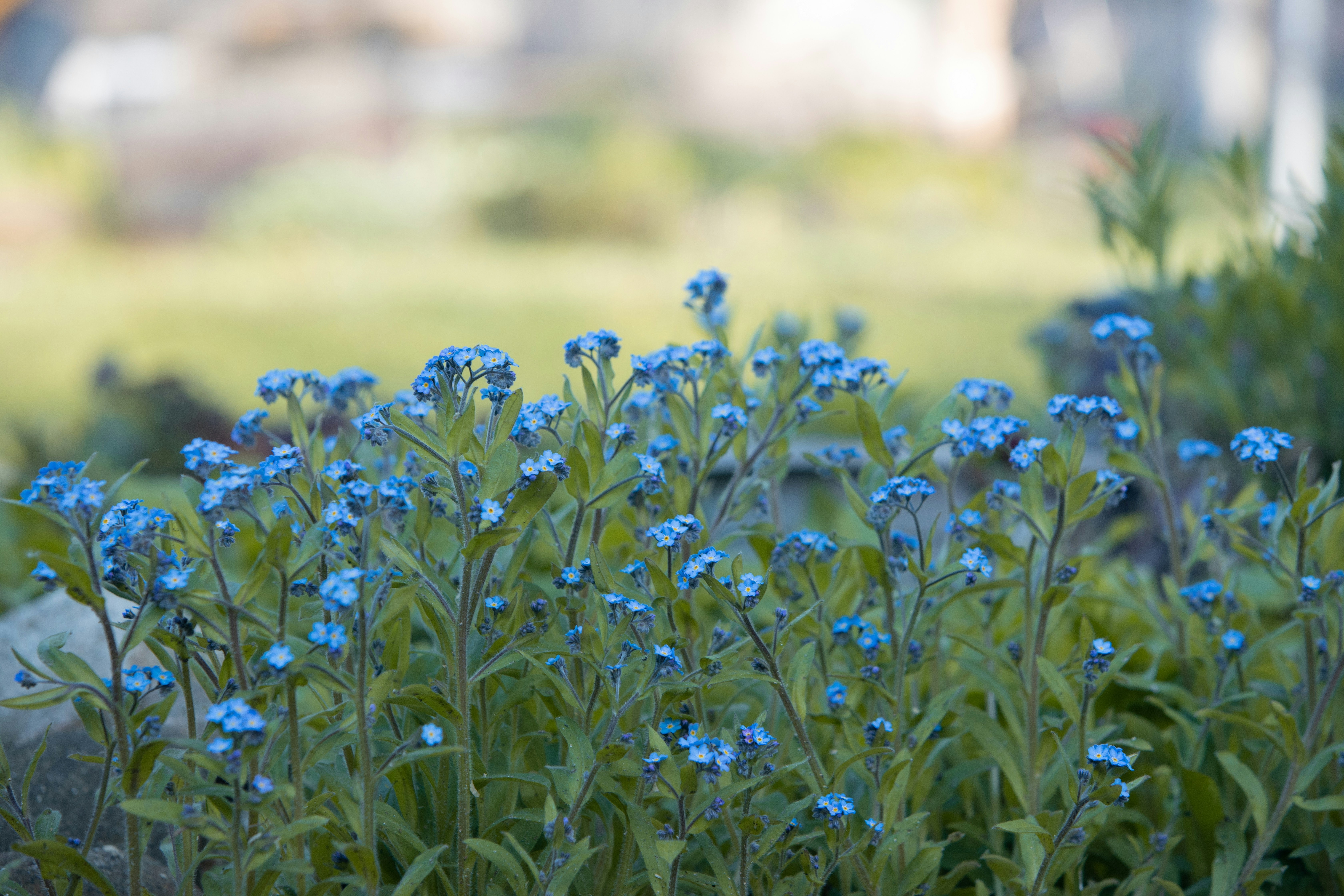 Photo by helenatheactress