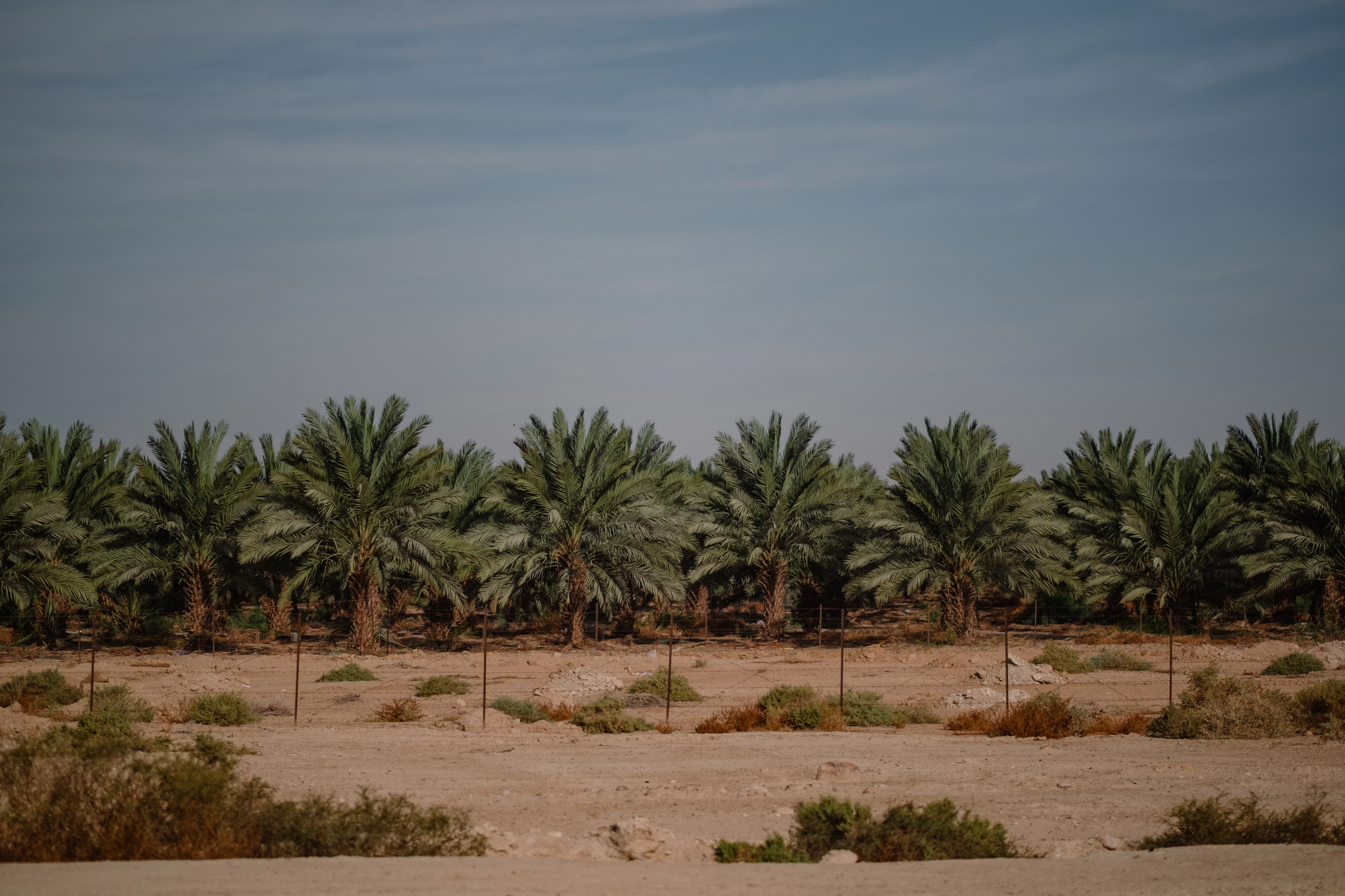 Palestinian Territories