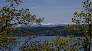A scenic plot overlooking a calm lake with mountains in the distance.