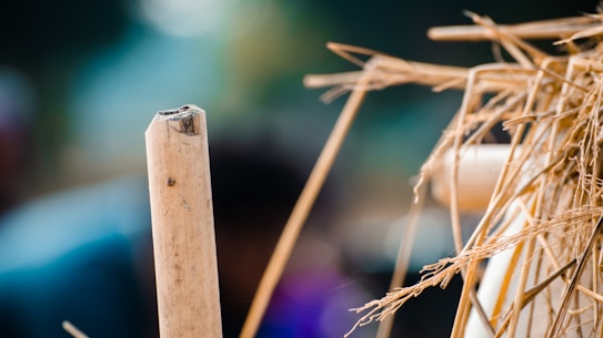 A close-up of a wooden stick with rough edges is leaning against a bundle of dried straw. The background is blurred, featuring a mix of muted colors, giving the image a shallow depth of field.