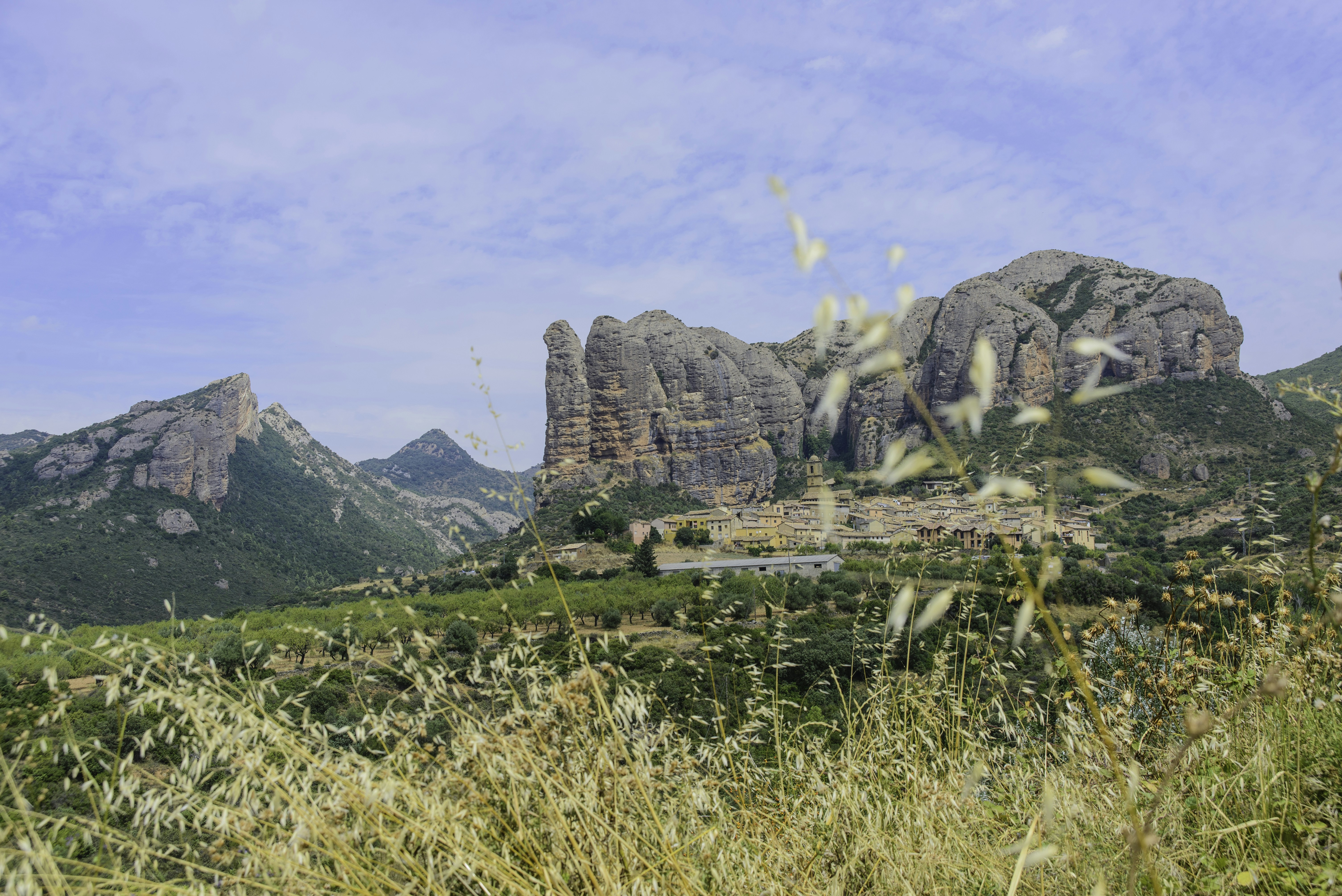 Mobile Diesel Generator Advantages and Disadvantages