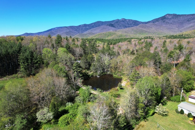 A serene landscape featuring a lush forest with various shades of green and brown. In the center lies a small pond surrounded by trees. Beyond the forest, a range of mountains extends under a clear blue sky. A small section of a house or building can be seen at the edge of the forest.