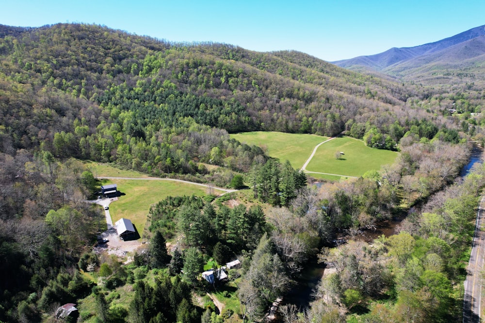 green grass field and trees during daytime