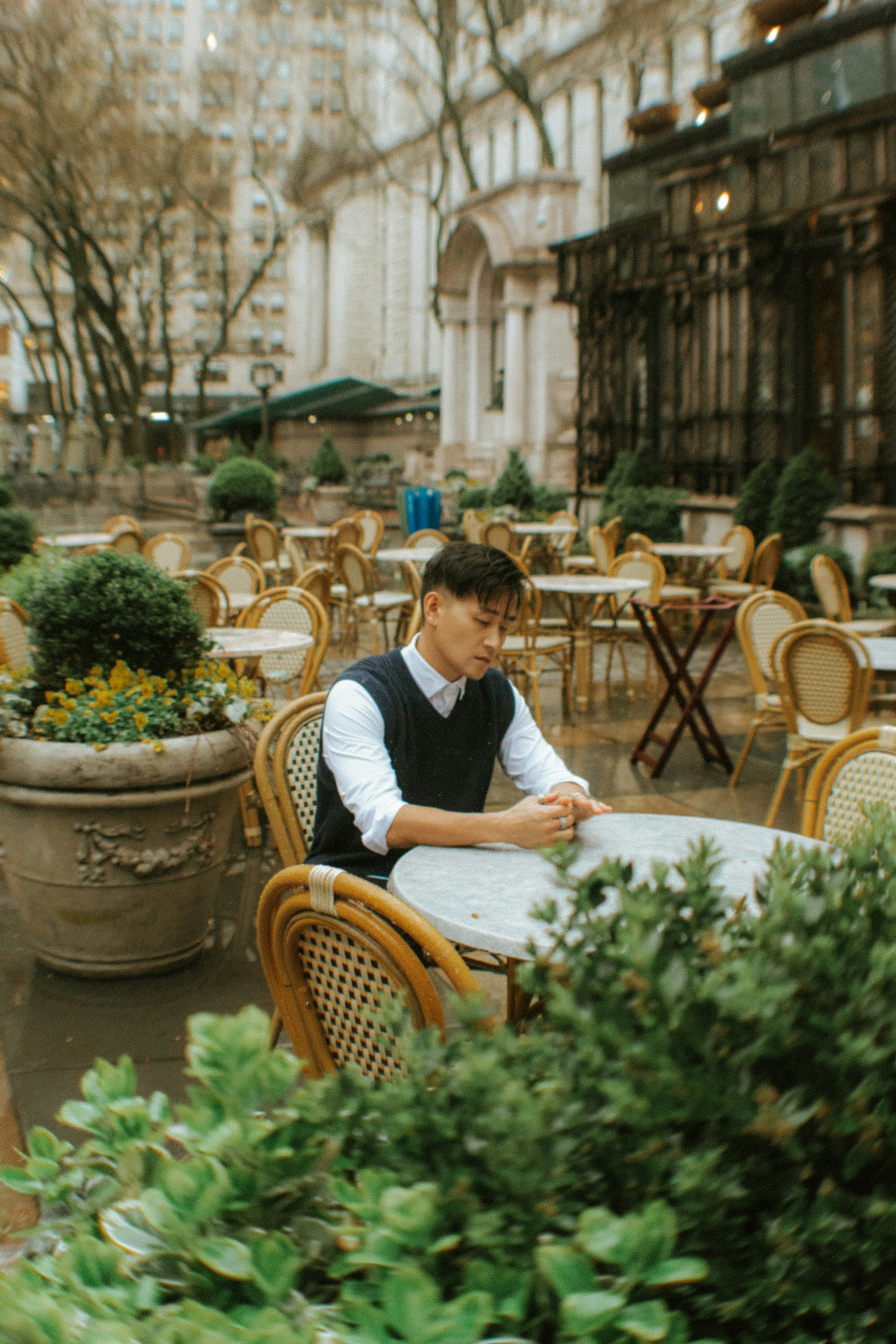 Is Tree of Heaven Good Firewood