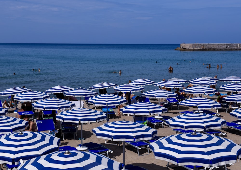 blue and white beach umbrellas on beach during daytime