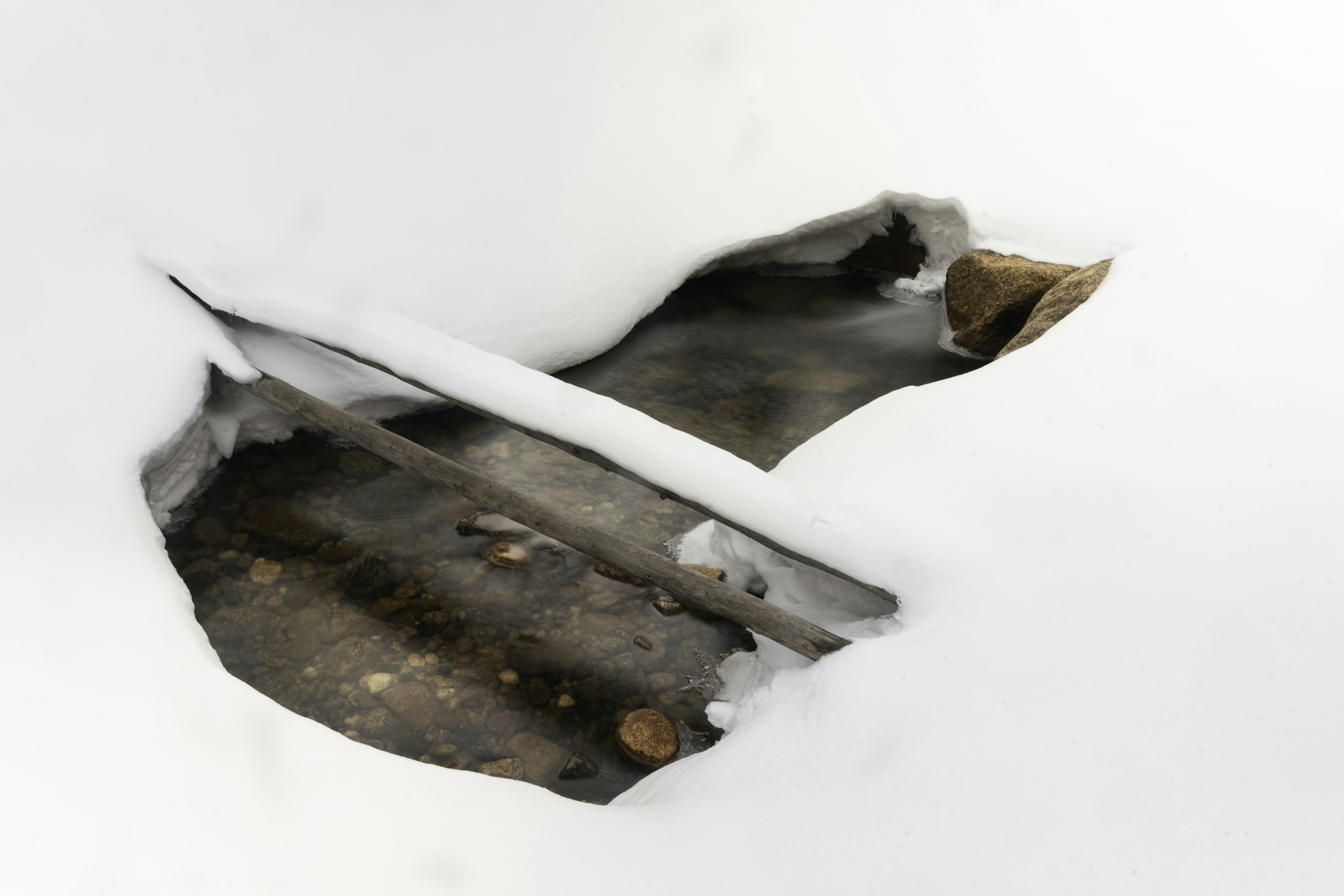 Photo by intricateexplorer