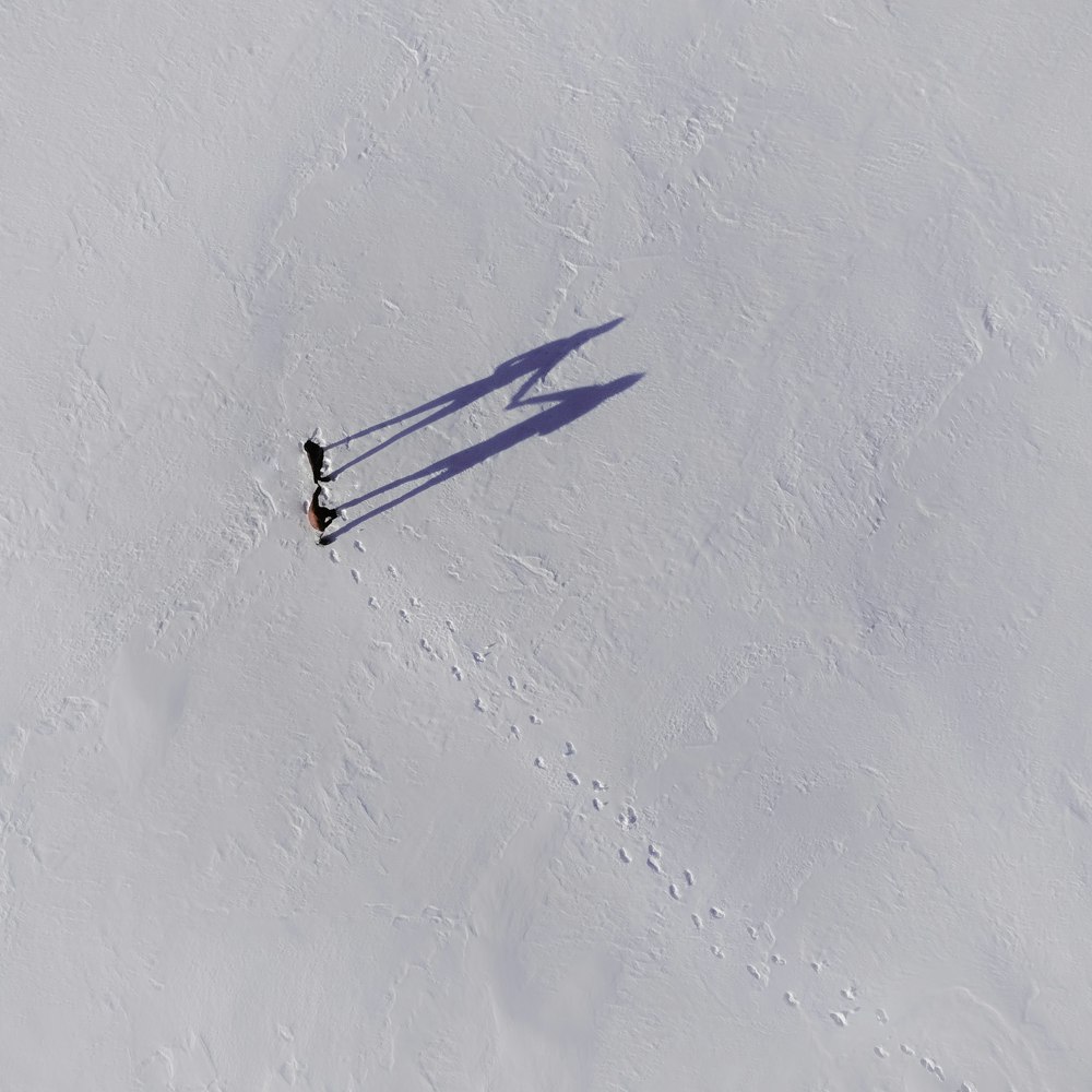 persona che cammina su un campo innevato durante il giorno