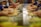 A group of children and adults are gathered around a long table, each preparing and assembling pizzas. The focus is on the many small hands working with dough and toppings. The scene suggests a fun and collaborative cooking activity.